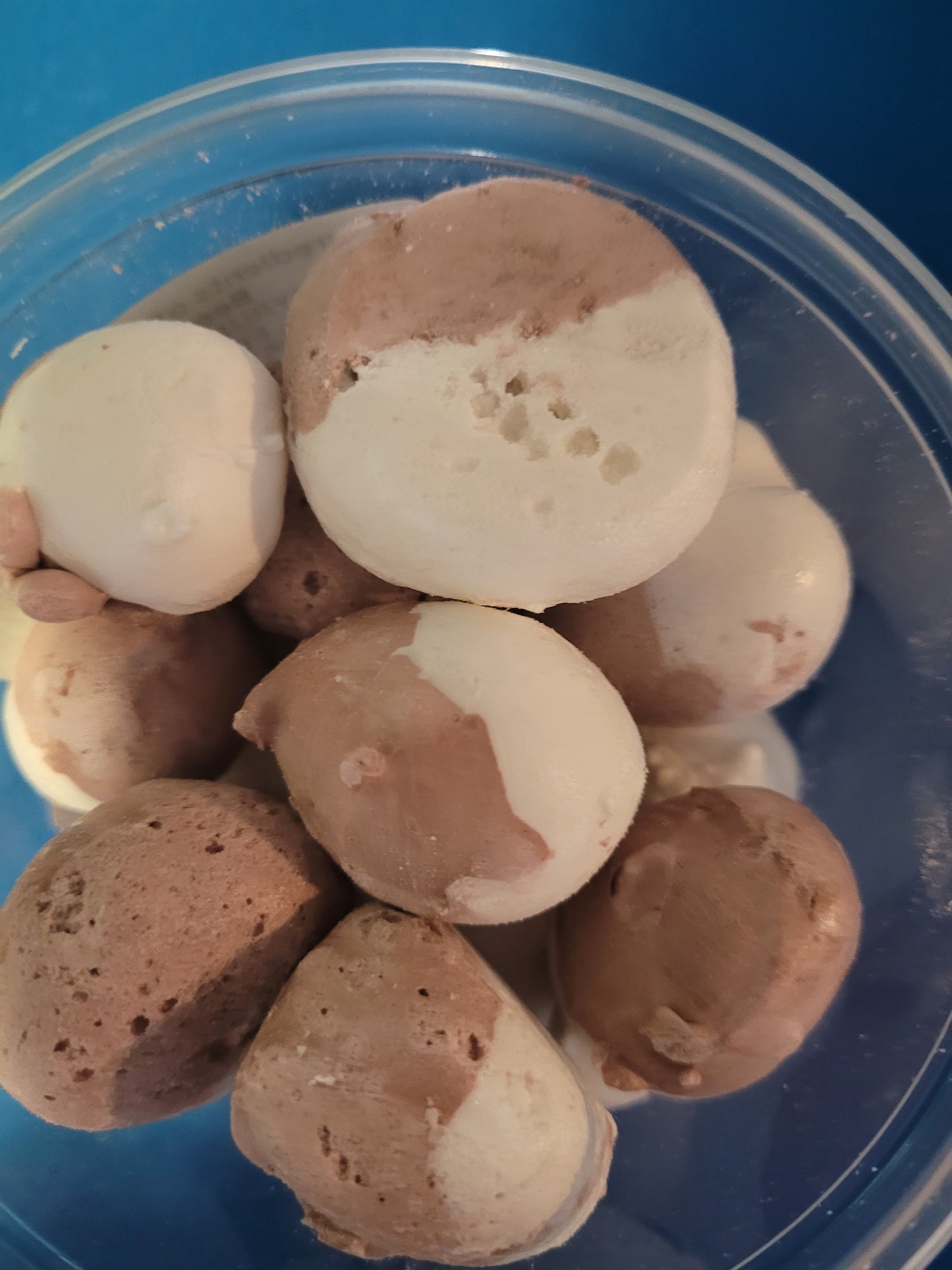 Root Beer Float Saltwater Taffy