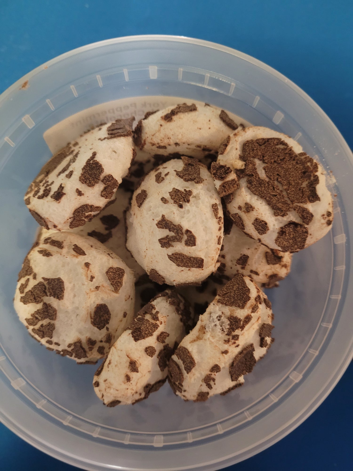 *Chocolates
