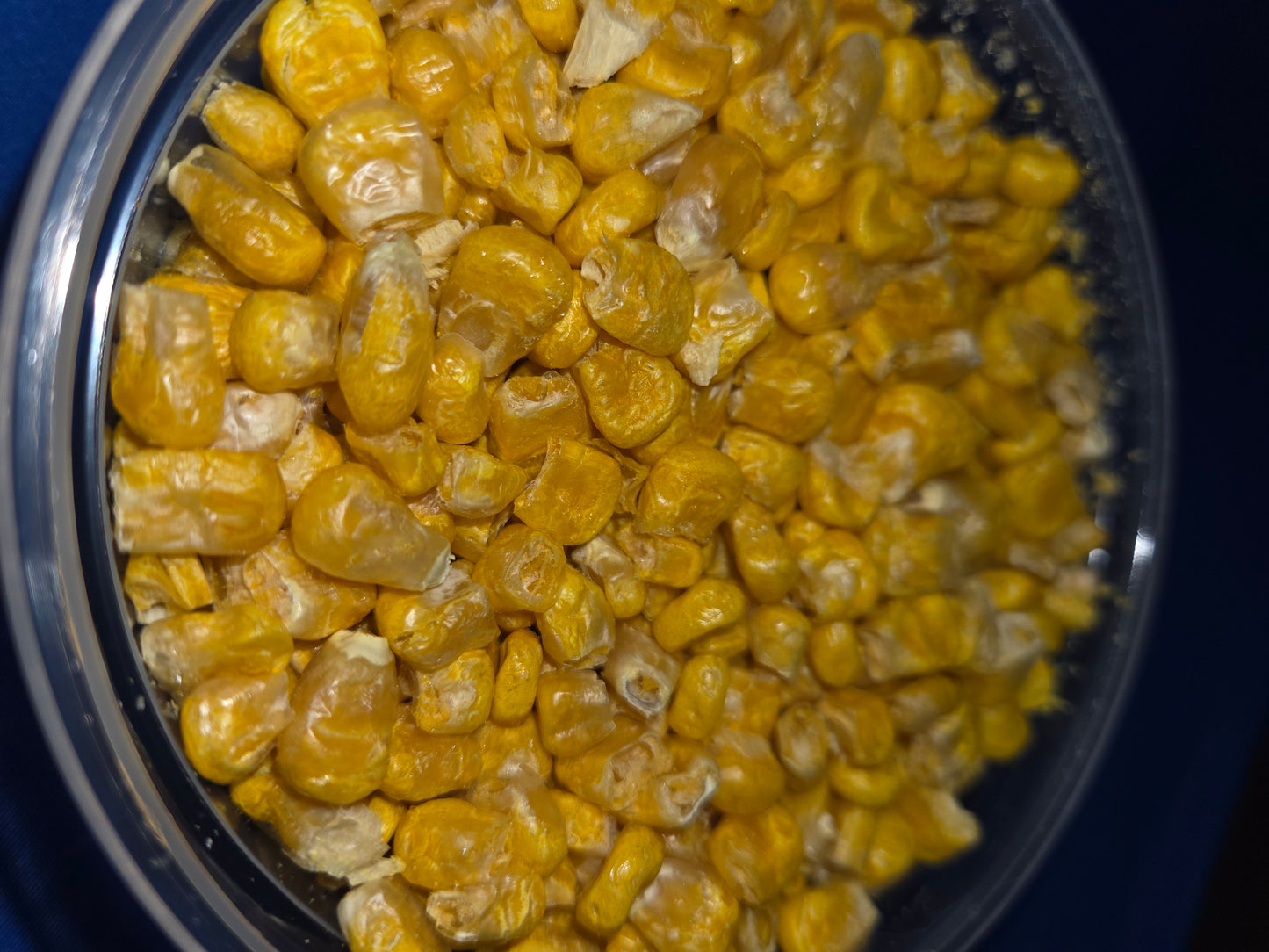 Corn Magic