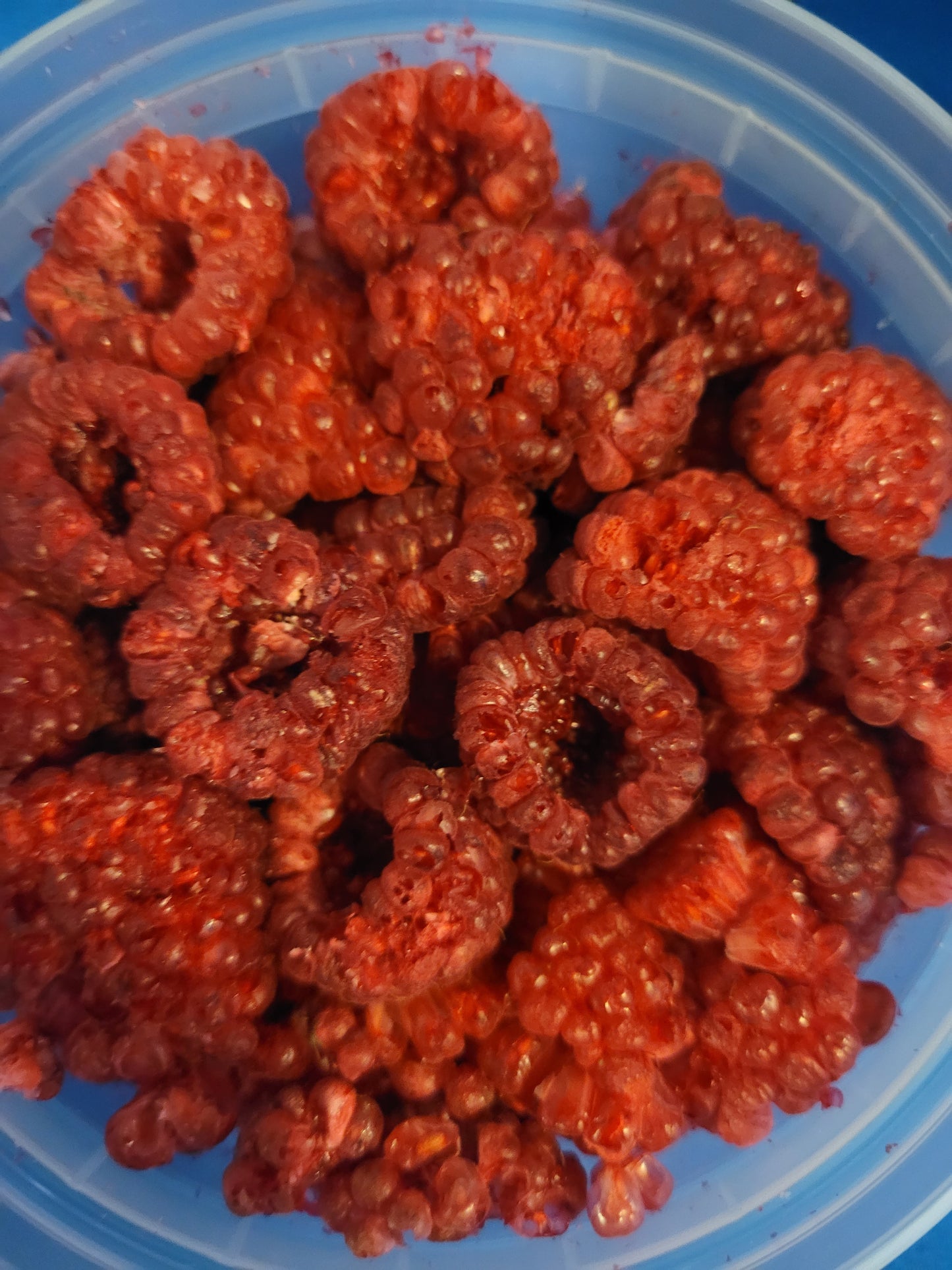 Red Raspberries-Fresh